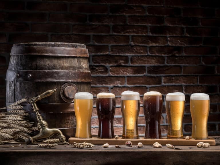 Microbrewery Website Templates